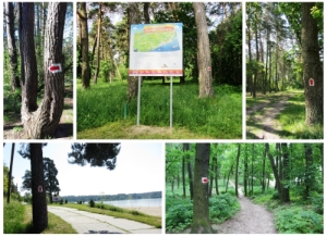 «Маршрути здоров’я» відтепер і в GPS