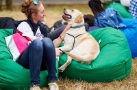 Arterium Corporation Funds My Pet event